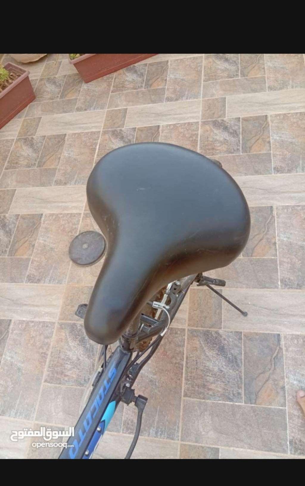 دراجة جبلية Staccato