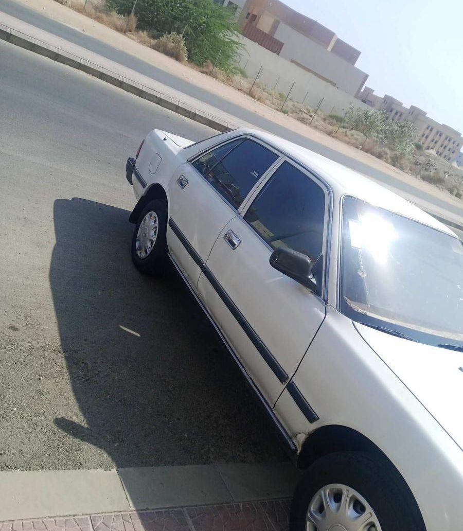 أمشي سيده درب