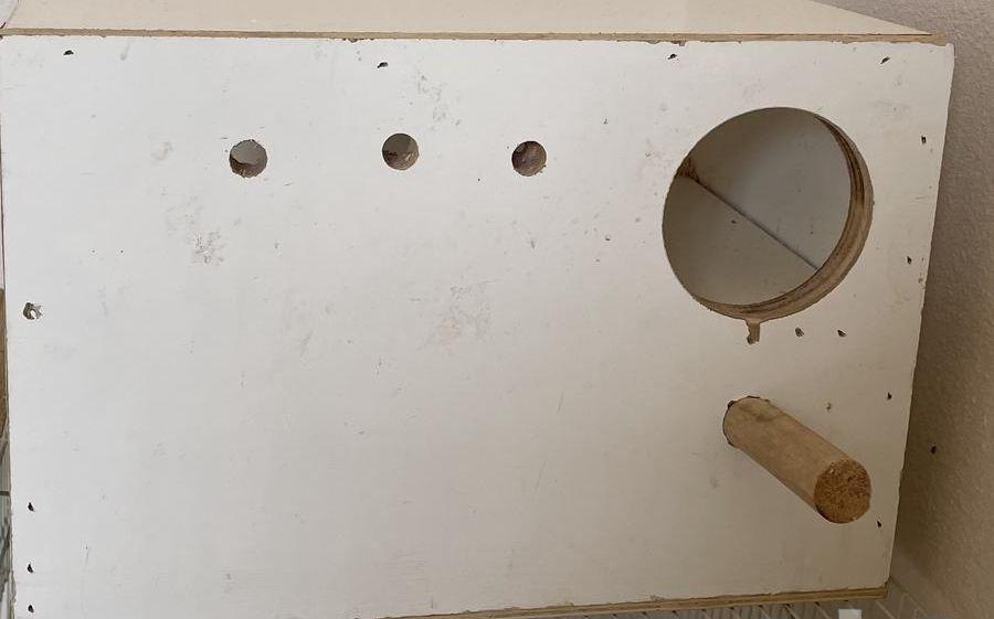 بياضة طيور