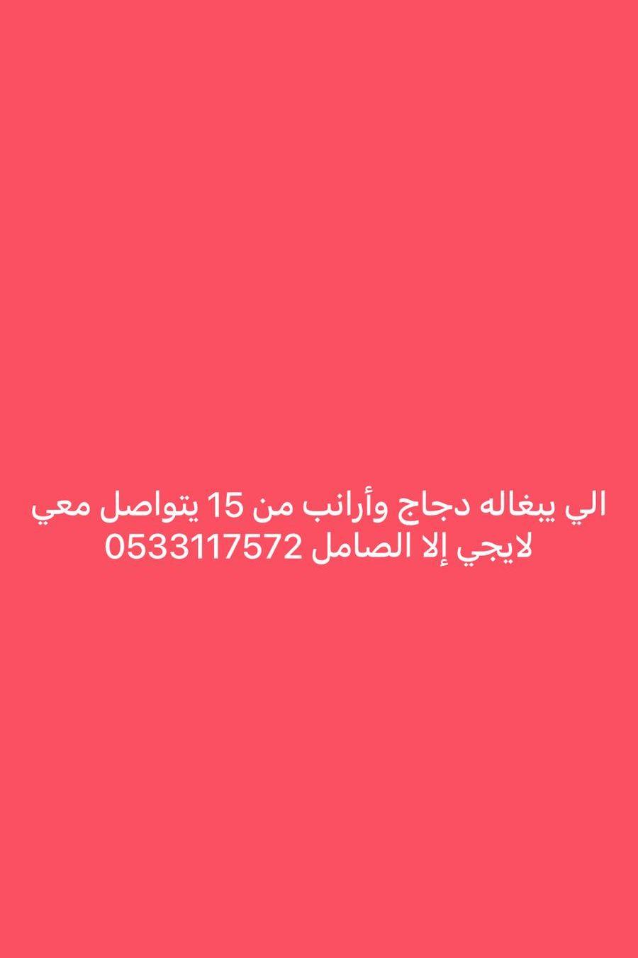 كلب وبسه للتبني