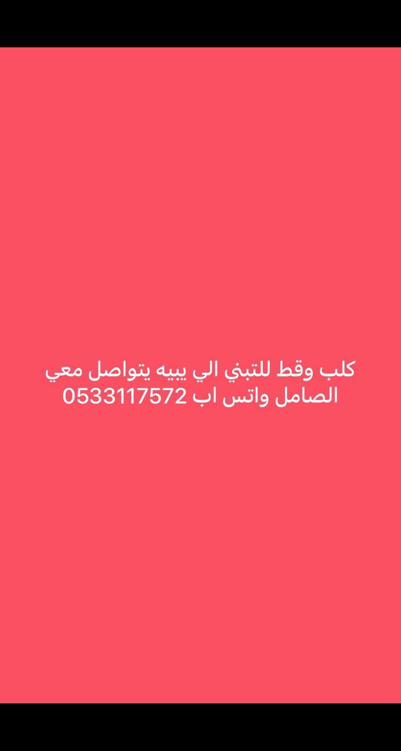 كلب وبسه للتبني