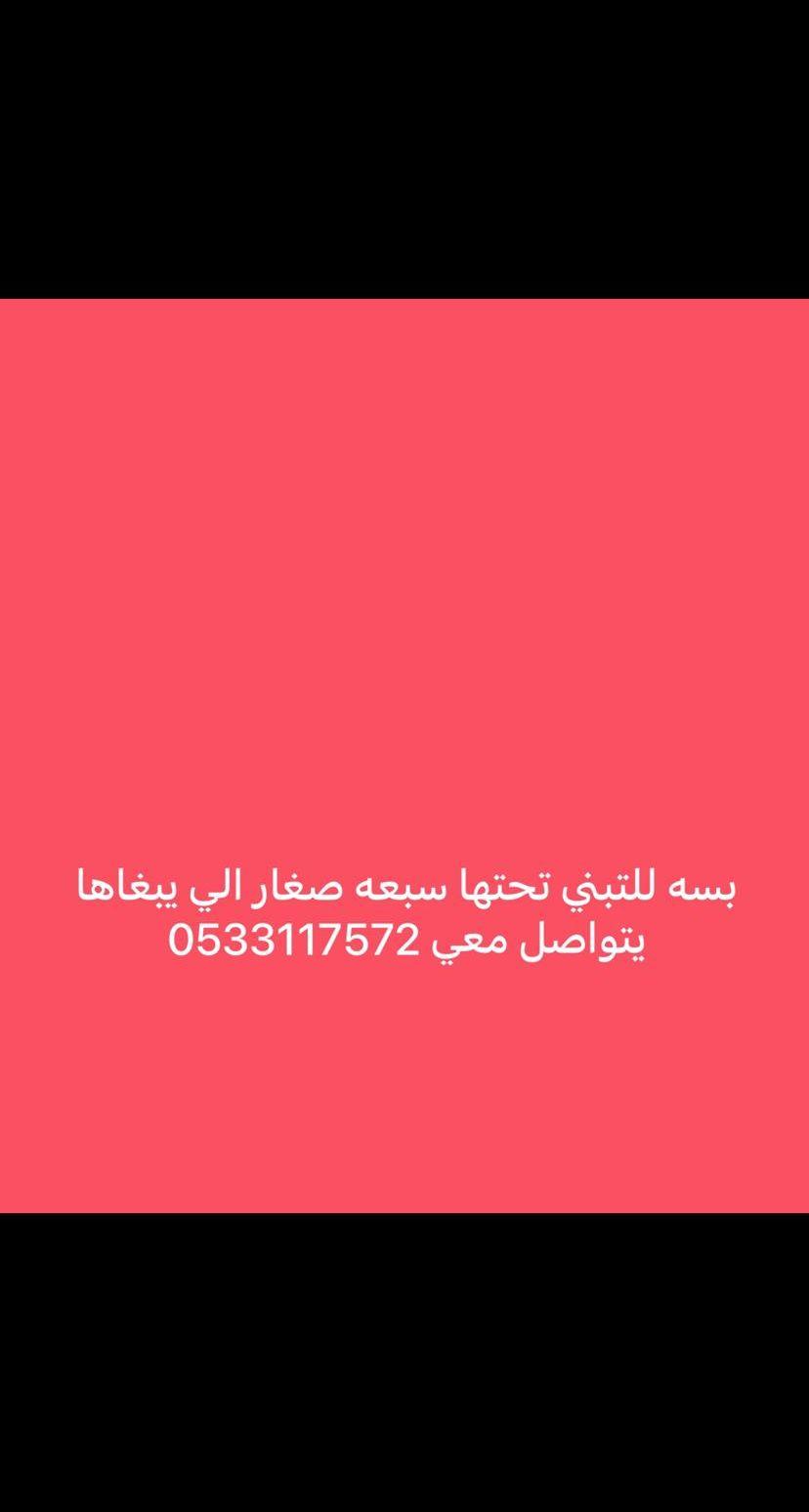 كلب وبسه للتبني