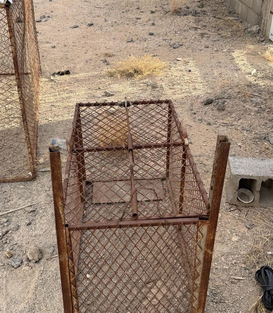مصيدة للبيع