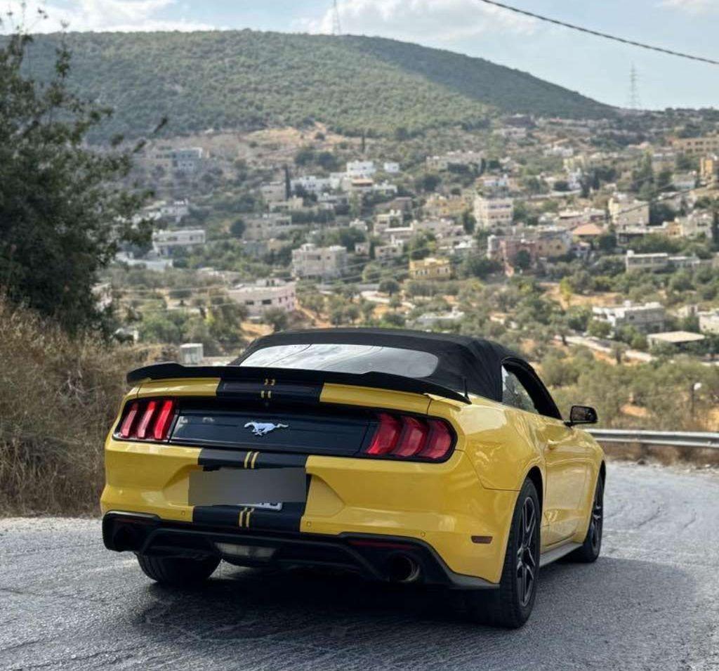 2018, فورد, موستانج,