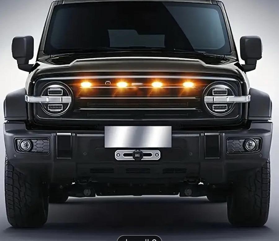 مصابيح زينة LED