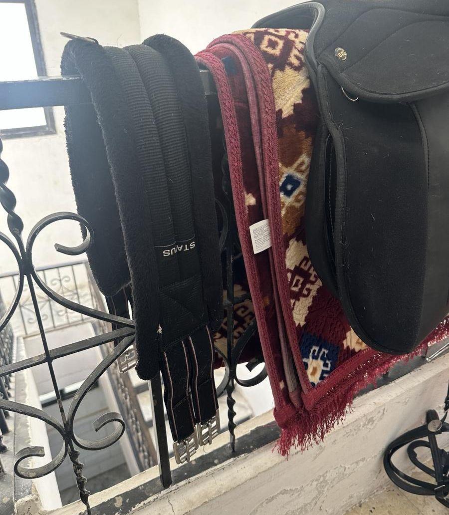 سرج خيل يورو