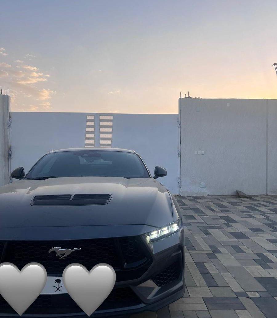 موستنق 2024 بيرفورمنس