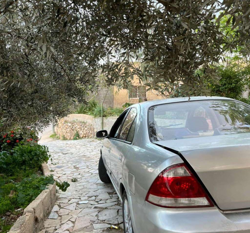 2013, نيسان, صني,