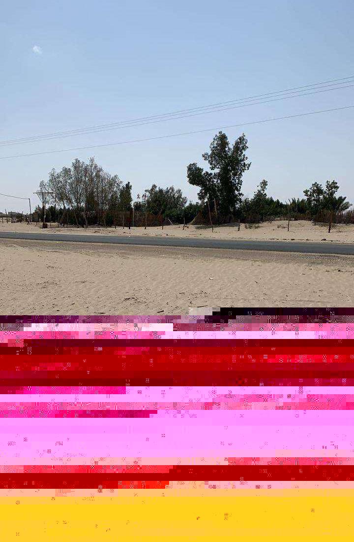 ارض و مزرعة