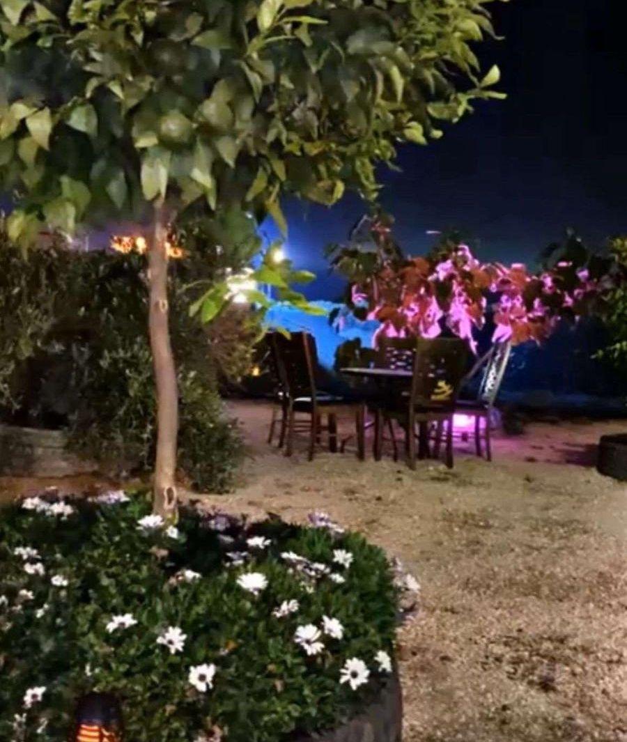 ارض و مزرعة
