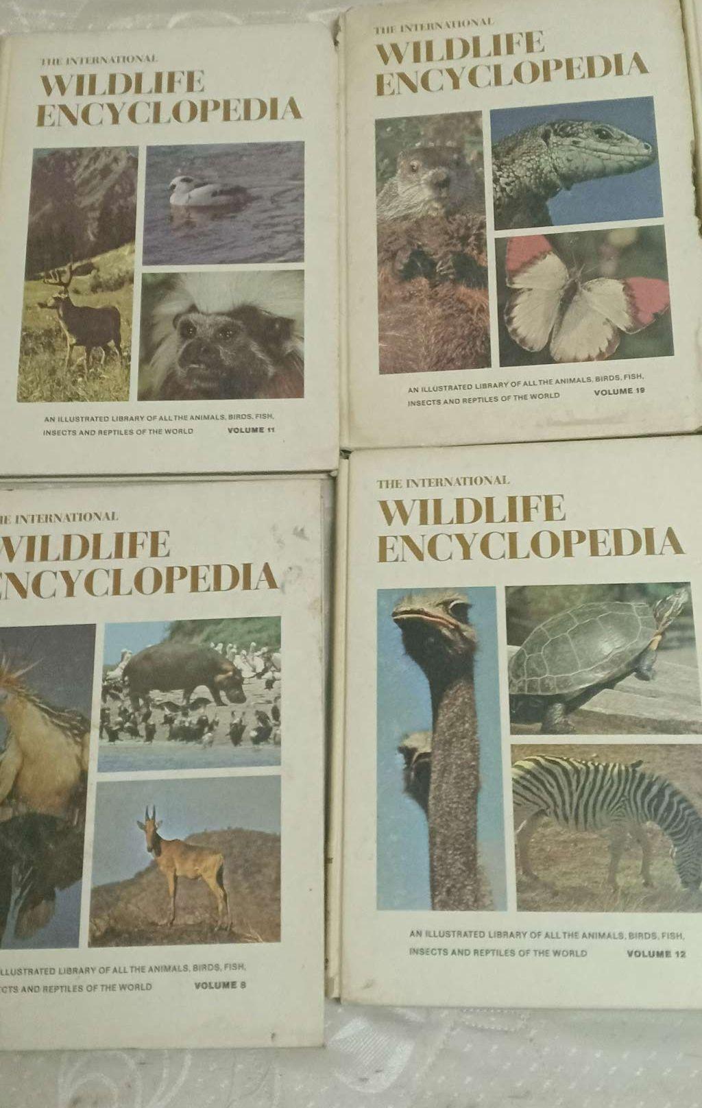 10 كتب انجليزي