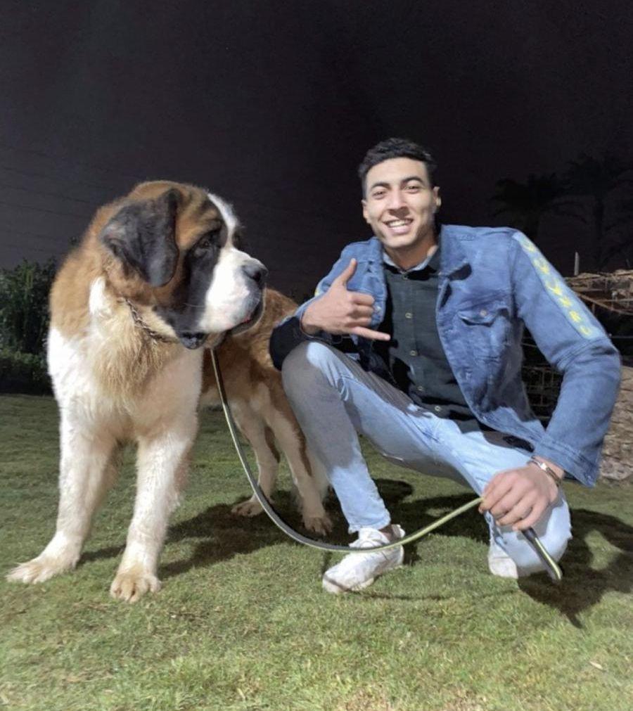 تدريب كلاب