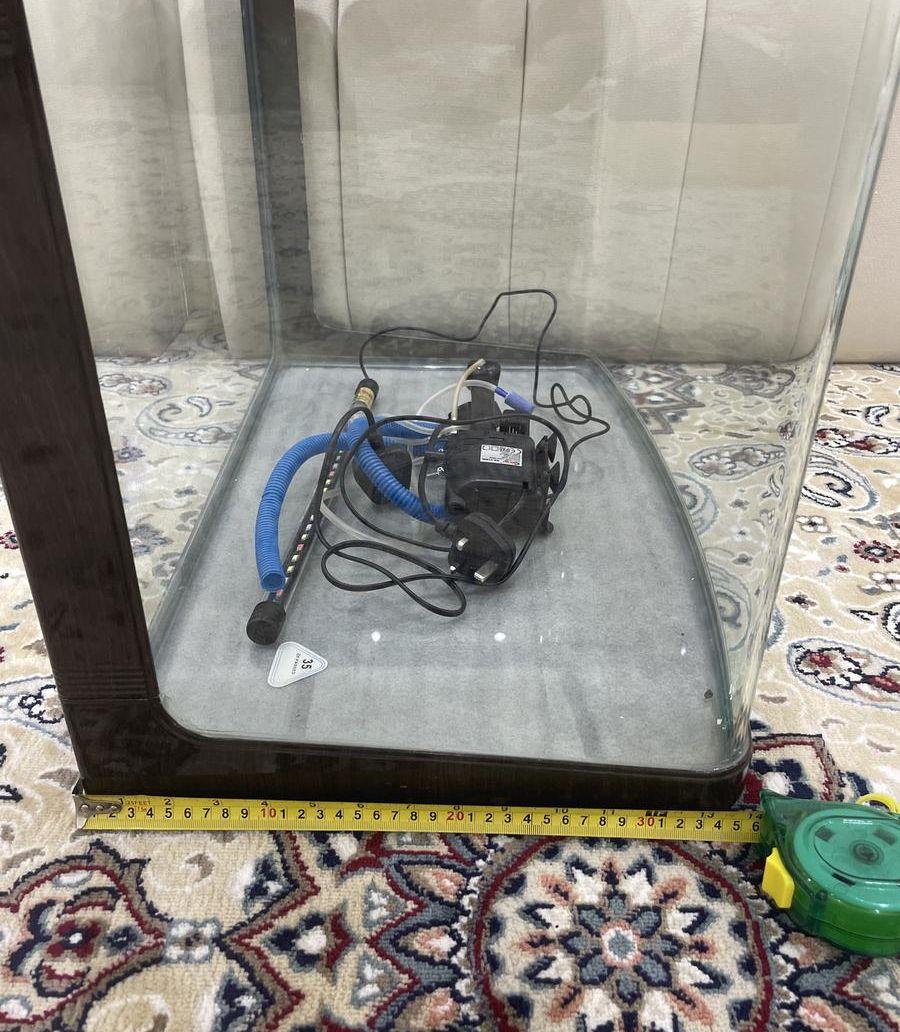 حوض سمك وسط