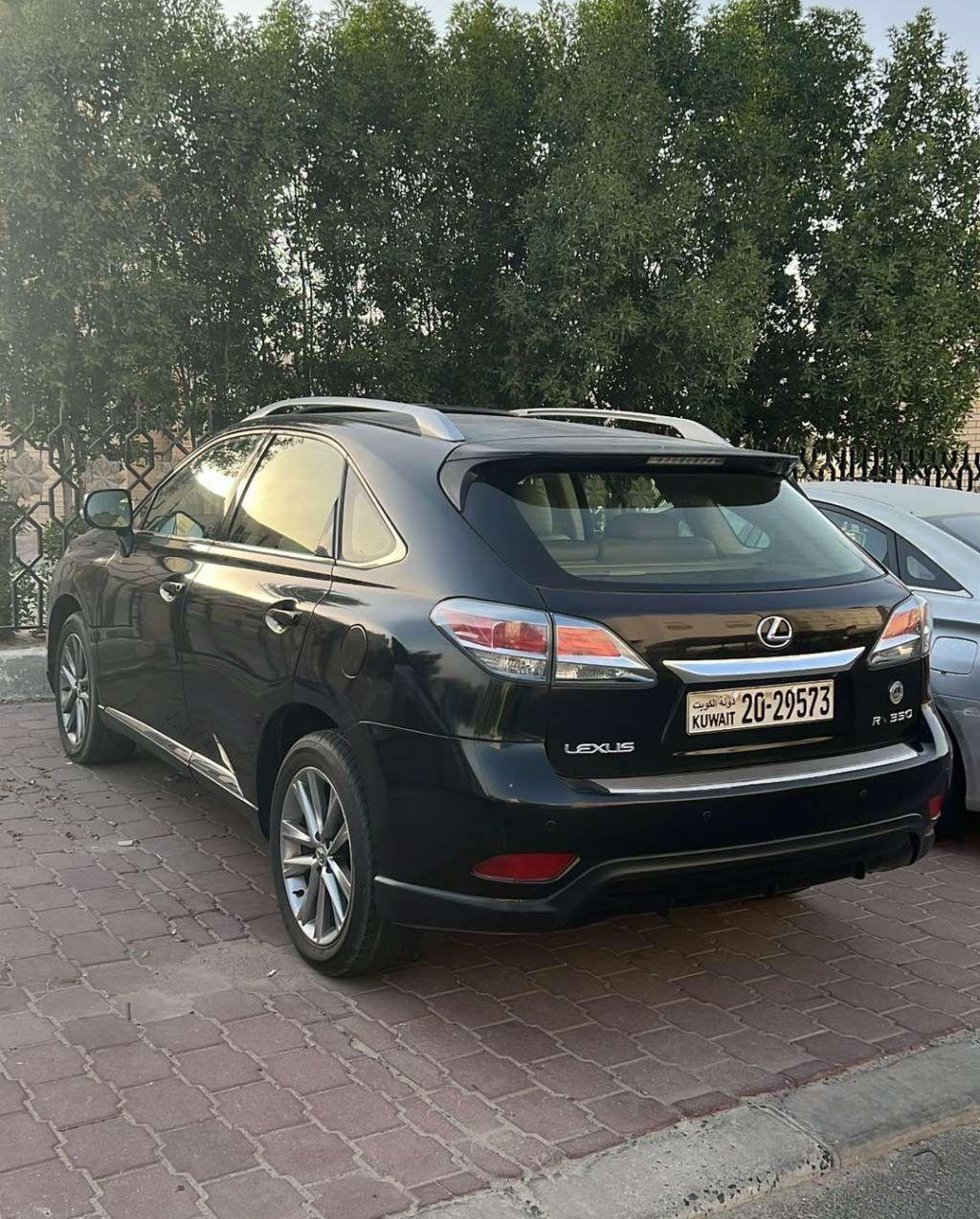 2013 لكزس RX