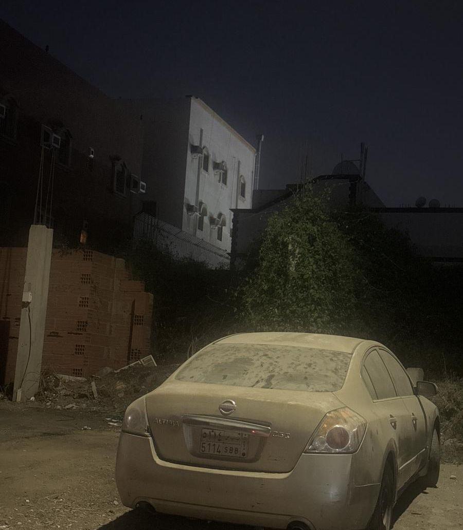 نيسان التيما 2010