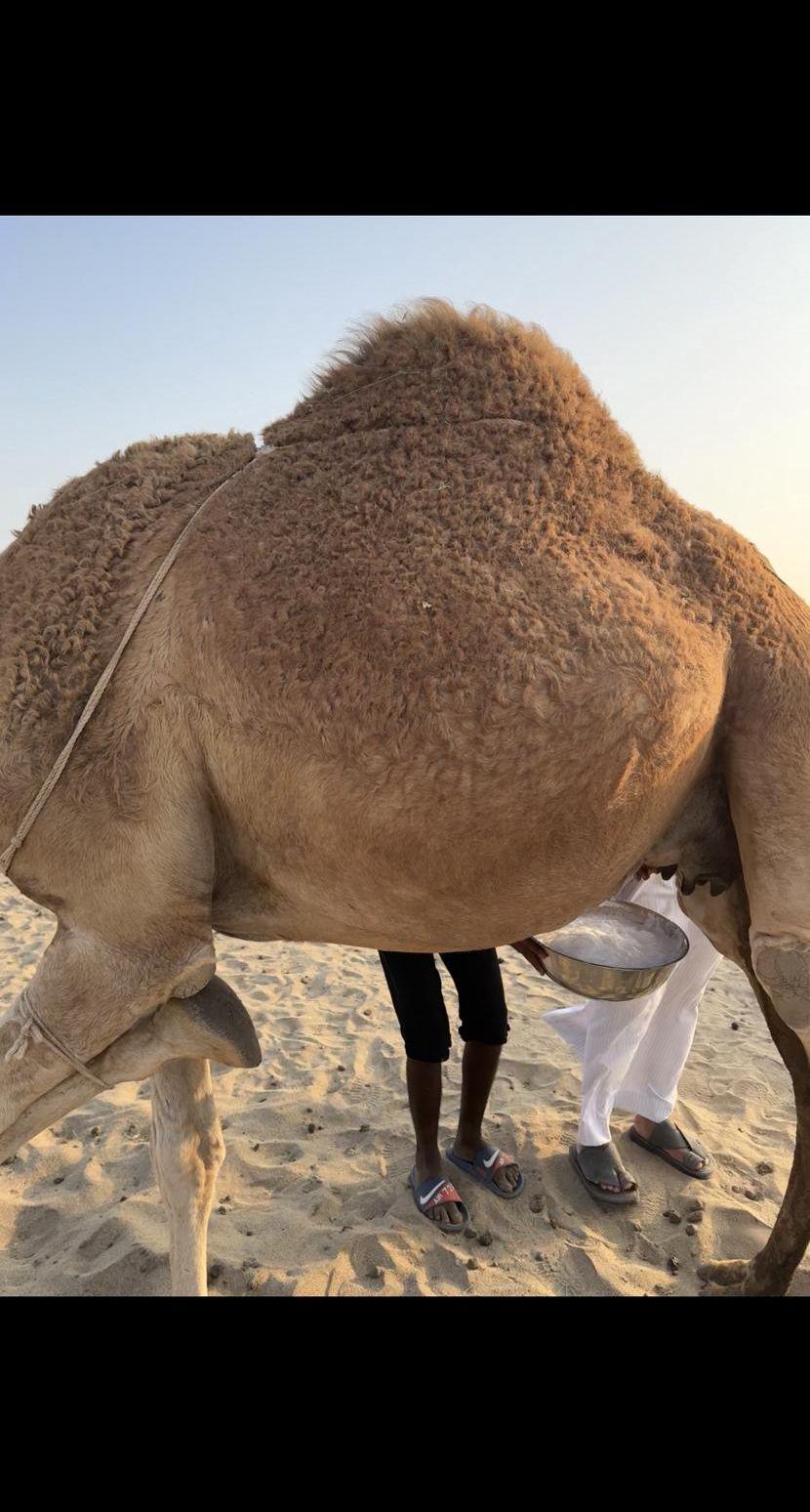 منيحة رمضان خلفة