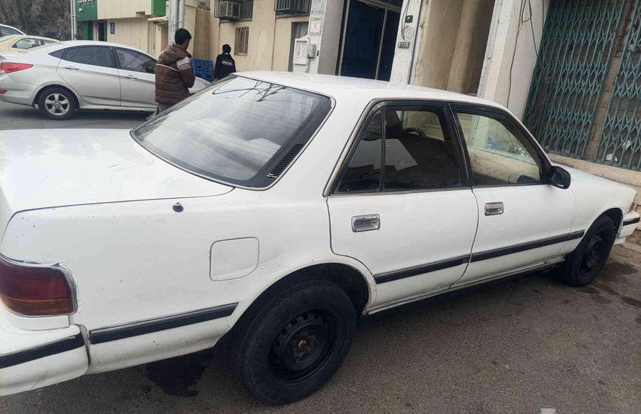 كرسيدا1993