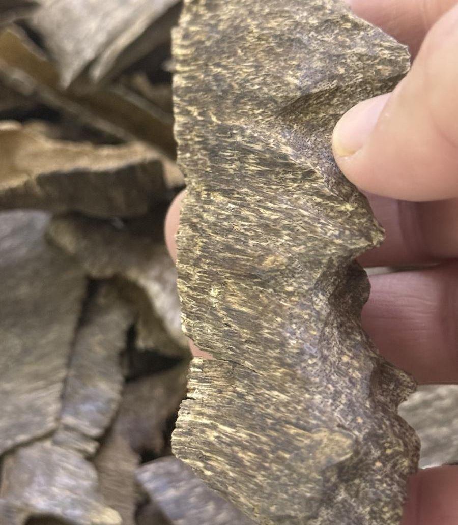 عود هندي