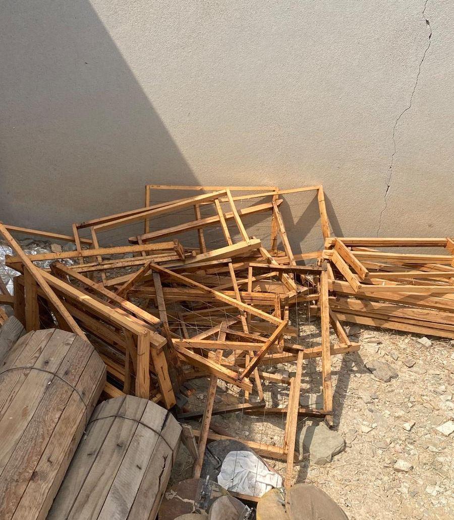 خلايا نحل فاظيه