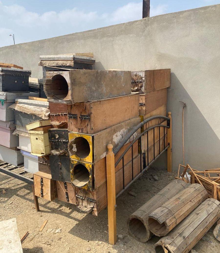 خلايا نحل فاظيه