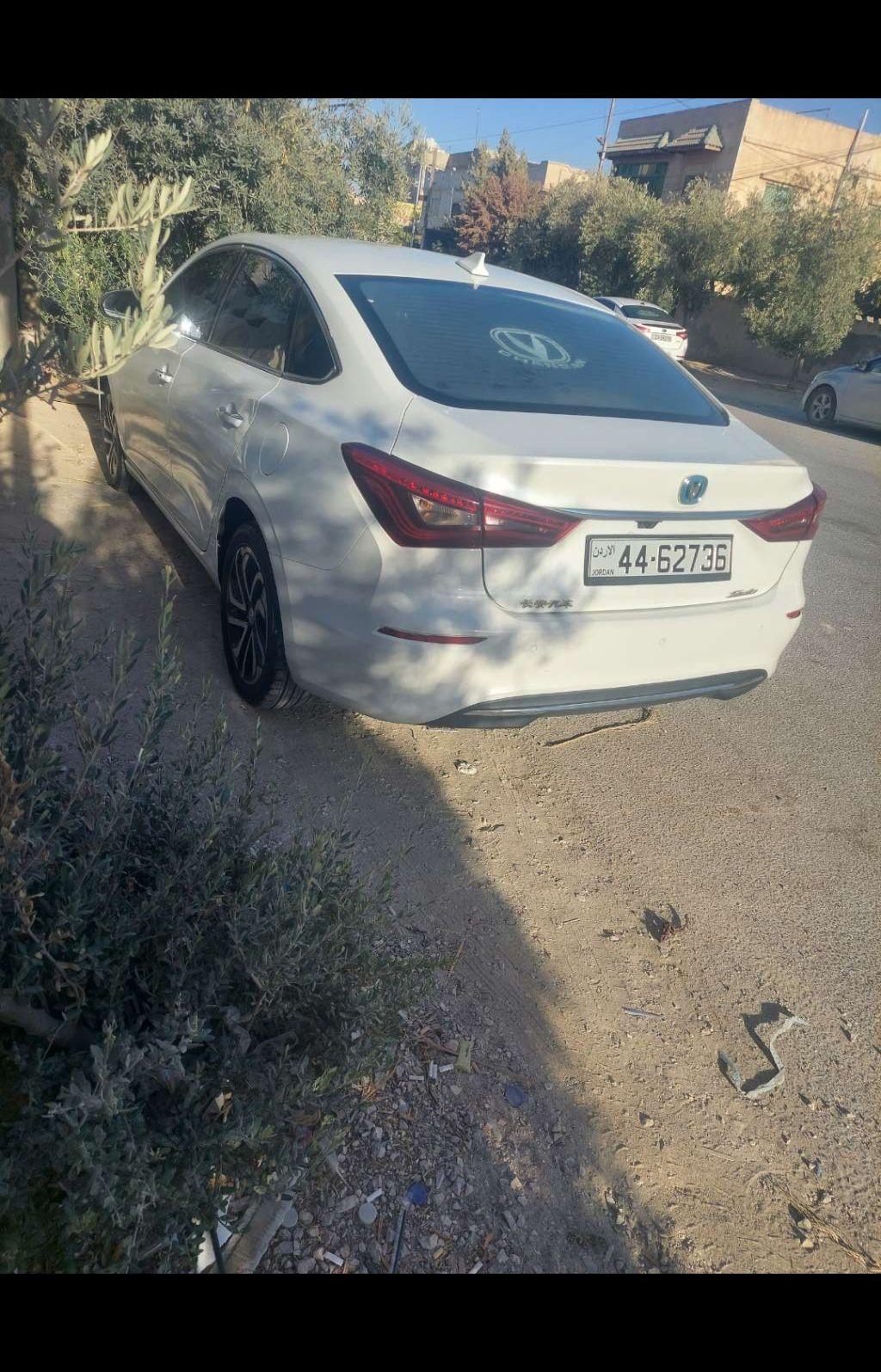 2020, شانجان, ايدو