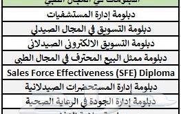 دبلوم وماجستير مهني