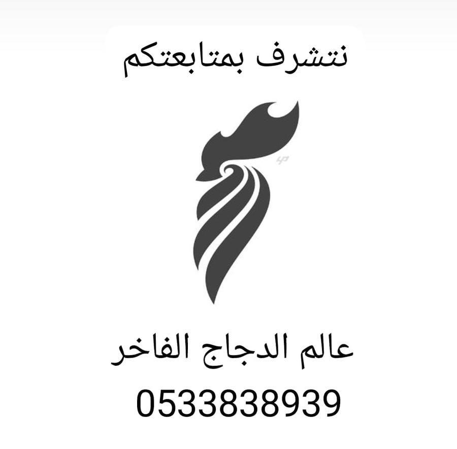 دجاج روز كامب