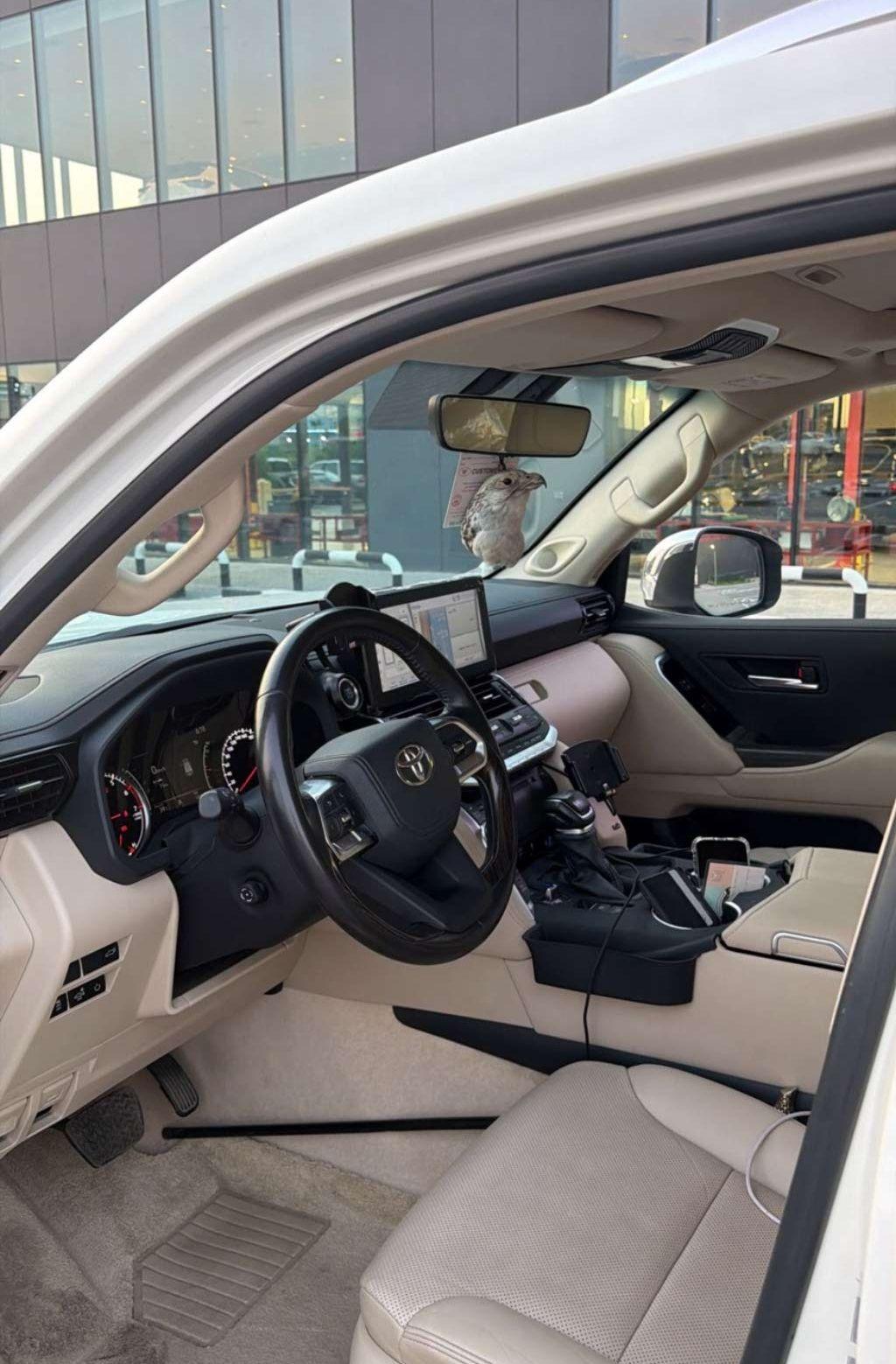 2023 تويوتا لاند