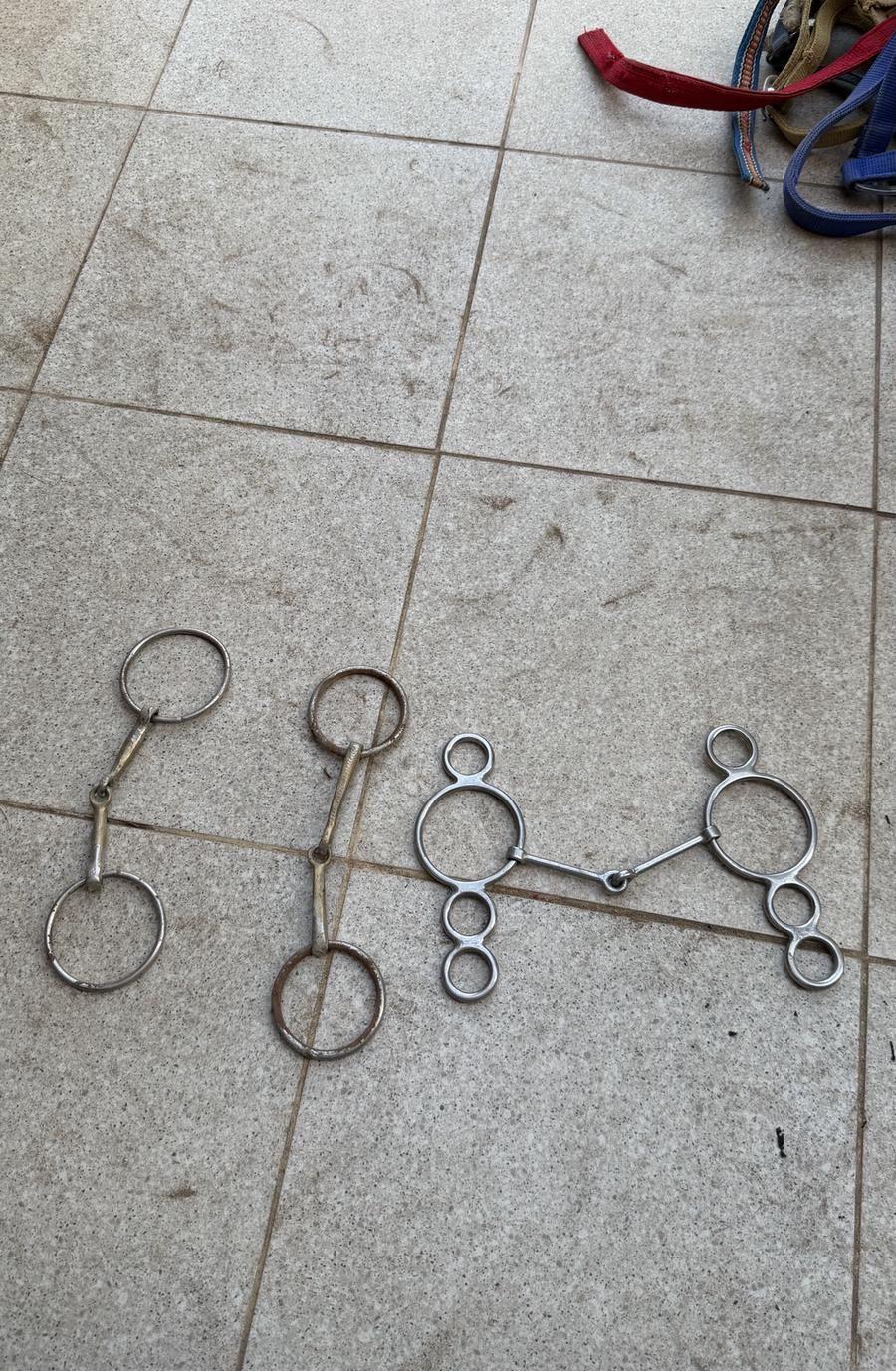 خيل