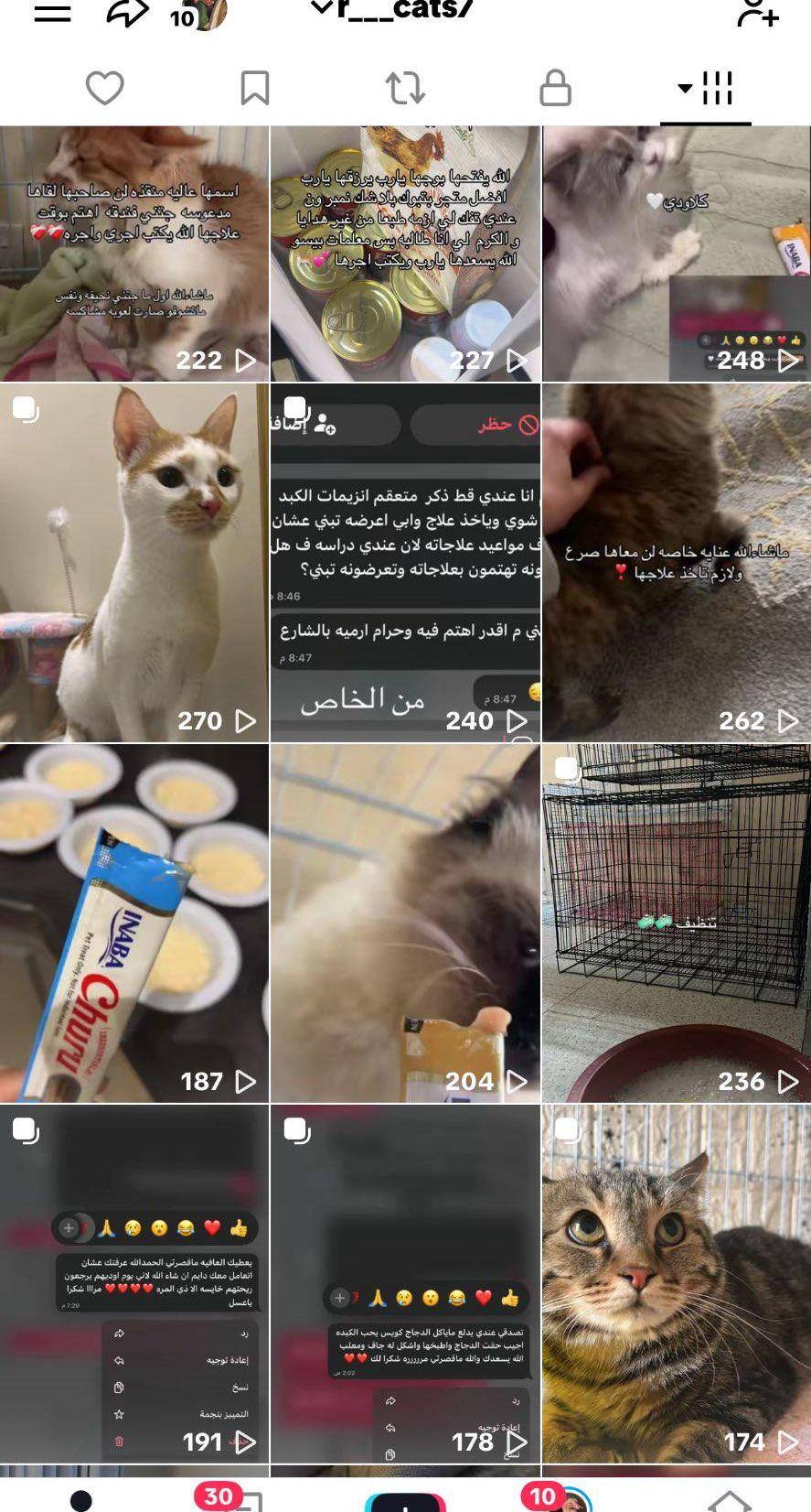 فندقة كاتي بتبوك