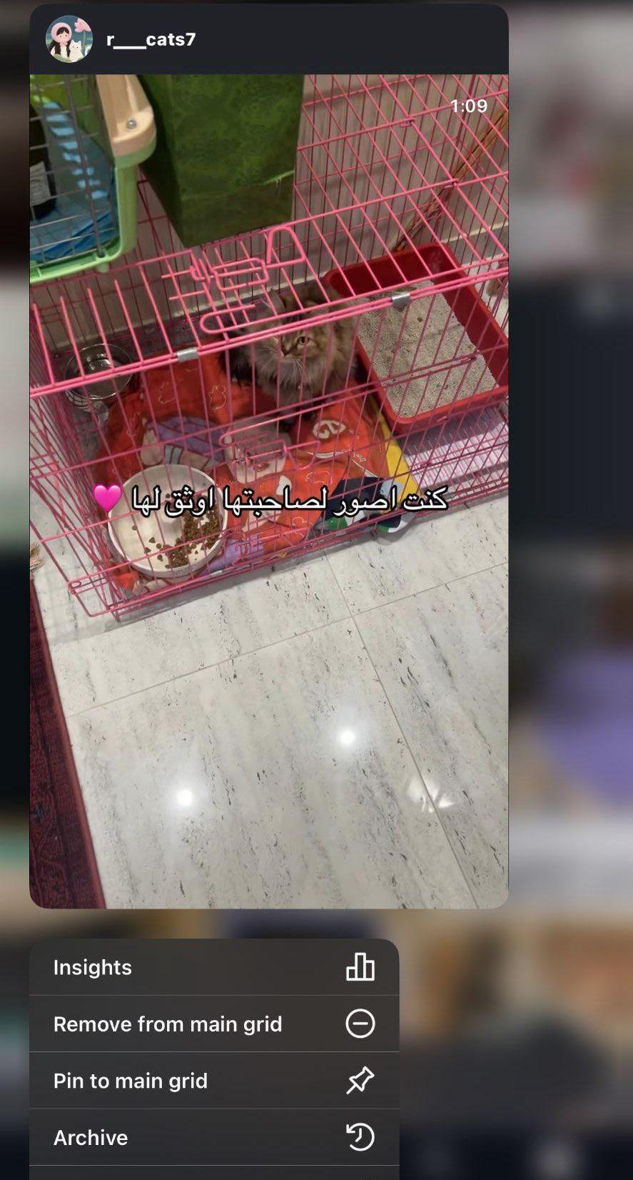 فندقة كاتي بتبوك