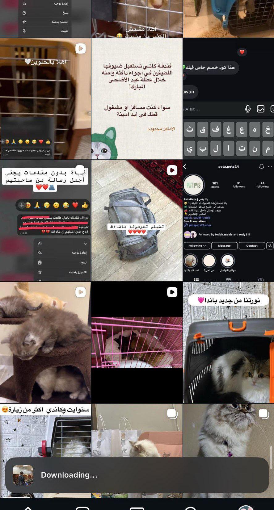 فندقة كاتي بتبوك