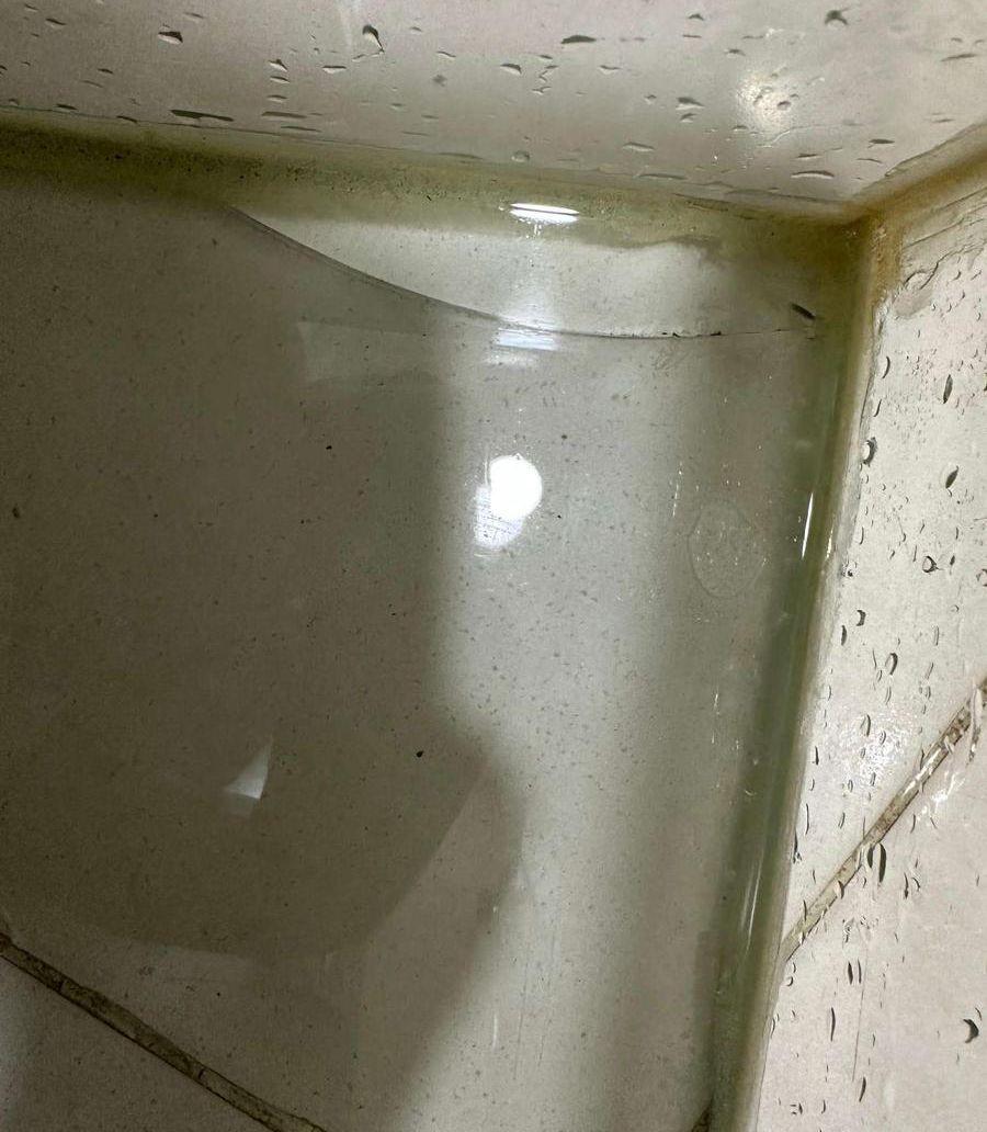 حوض قزاز للهامستر