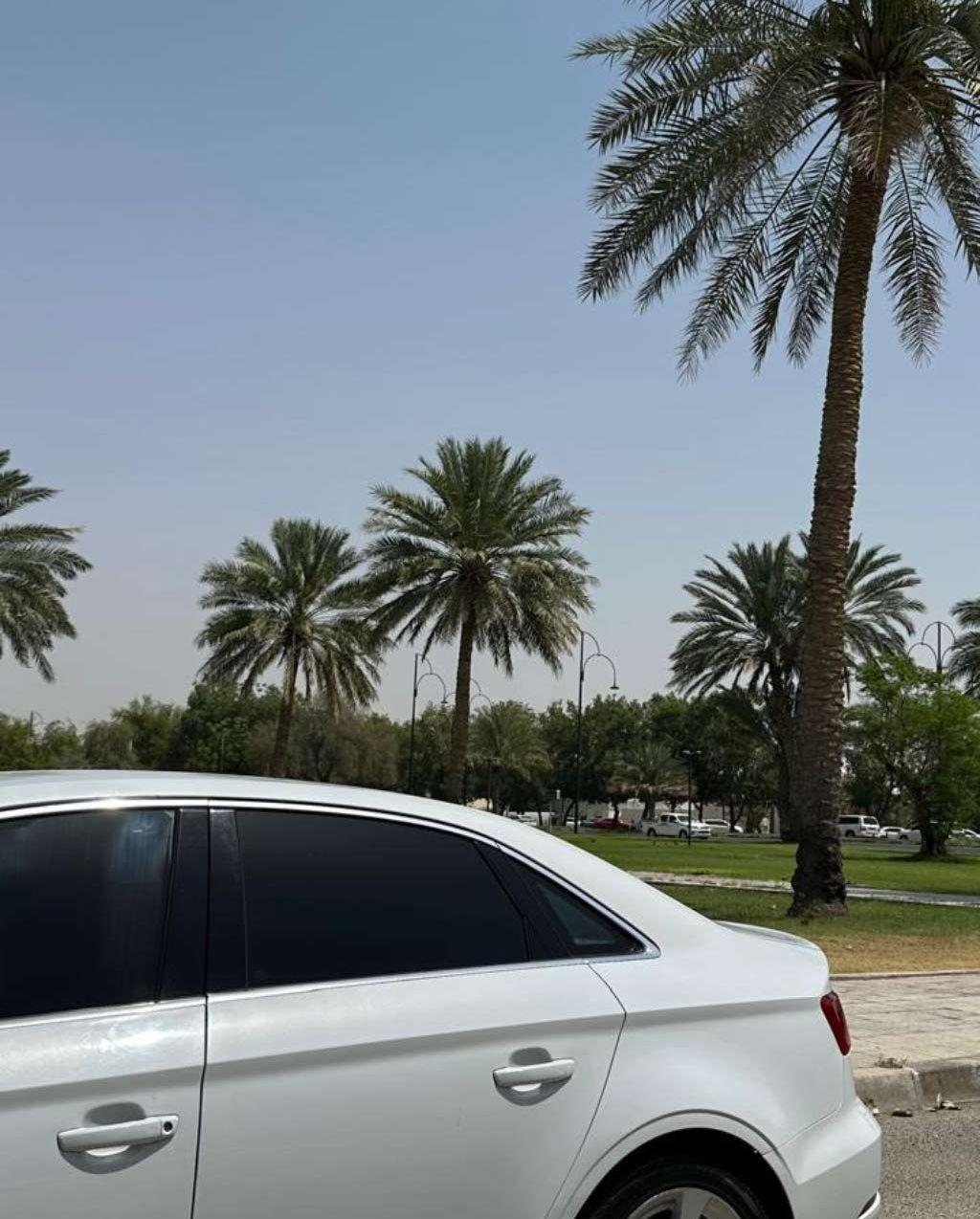 2019 أودي A3