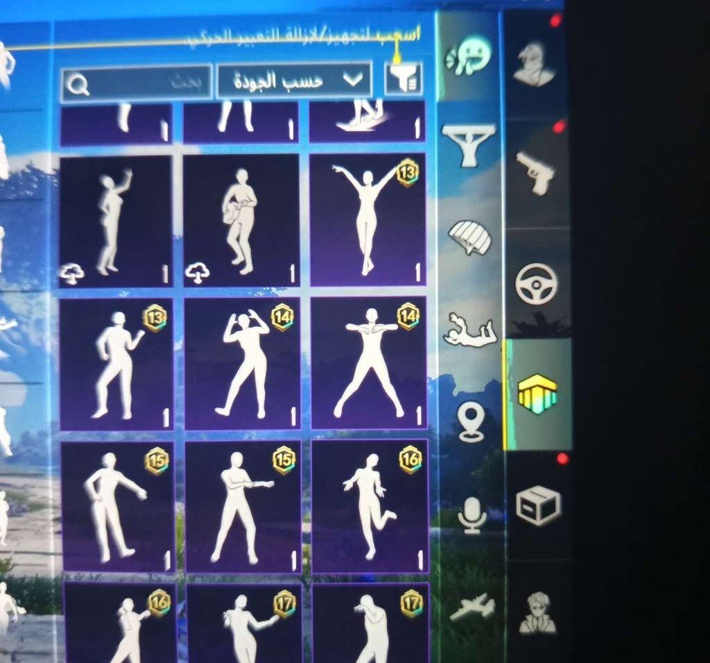 حساب ببجي مرتب