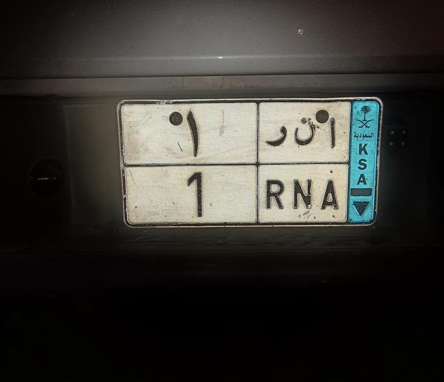 فورد رابتر 2014