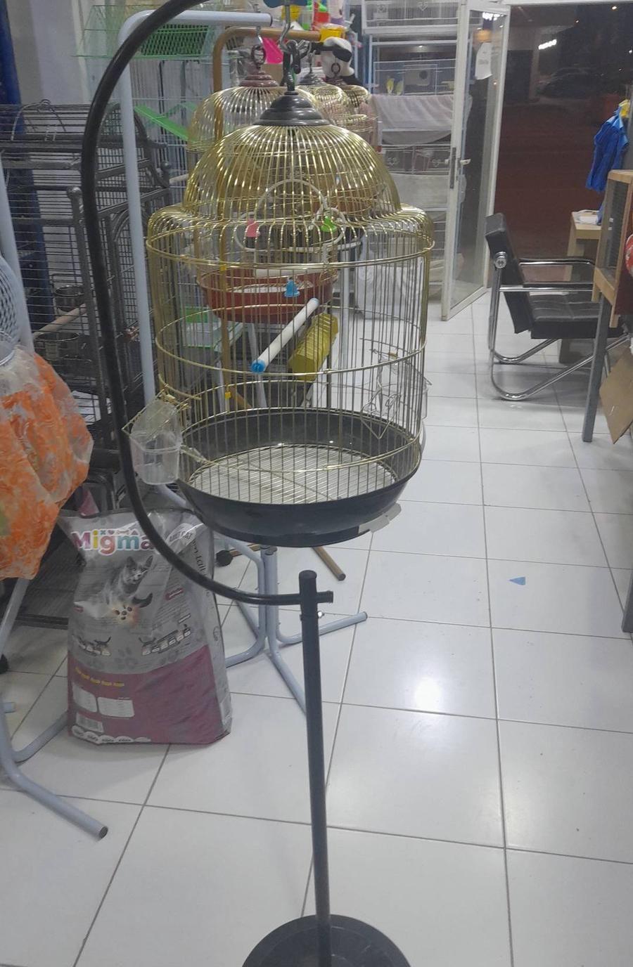 قفص كاسكو دره