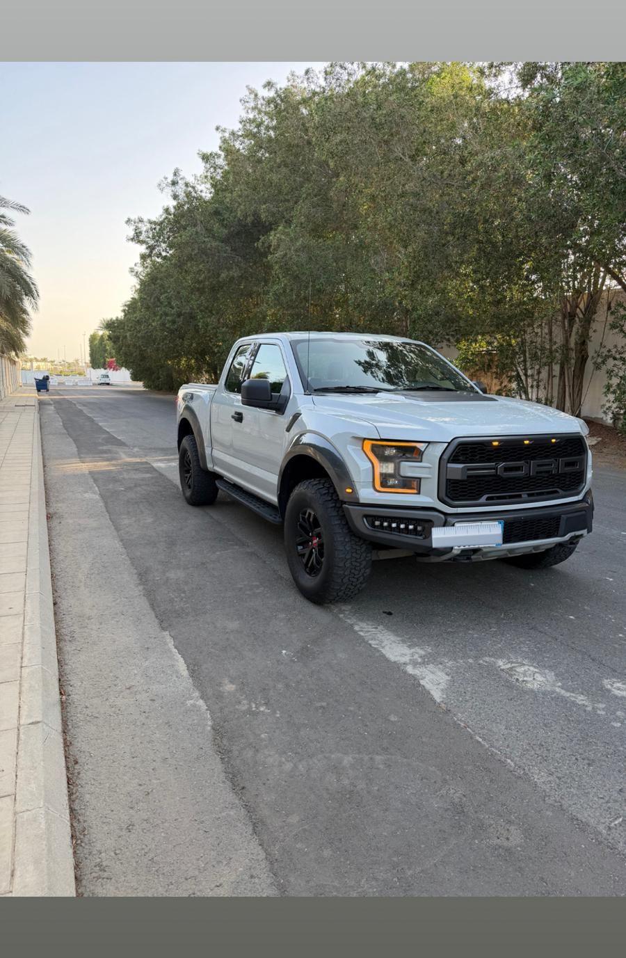 فورد رابتر