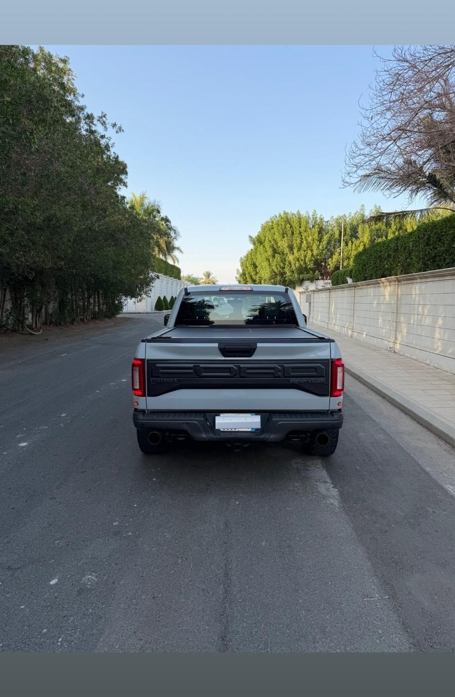 فورد رابتر