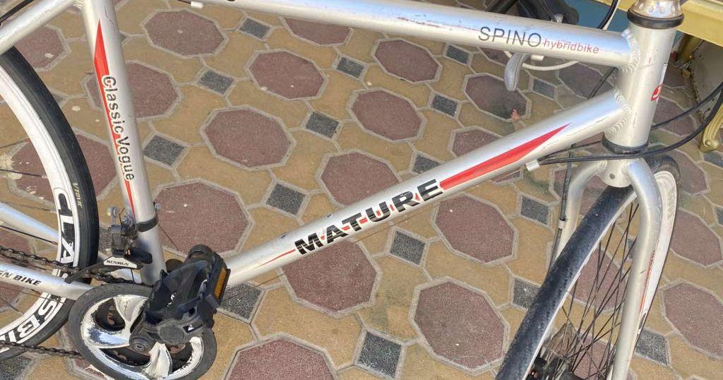 Hybrid spino MZ-c30