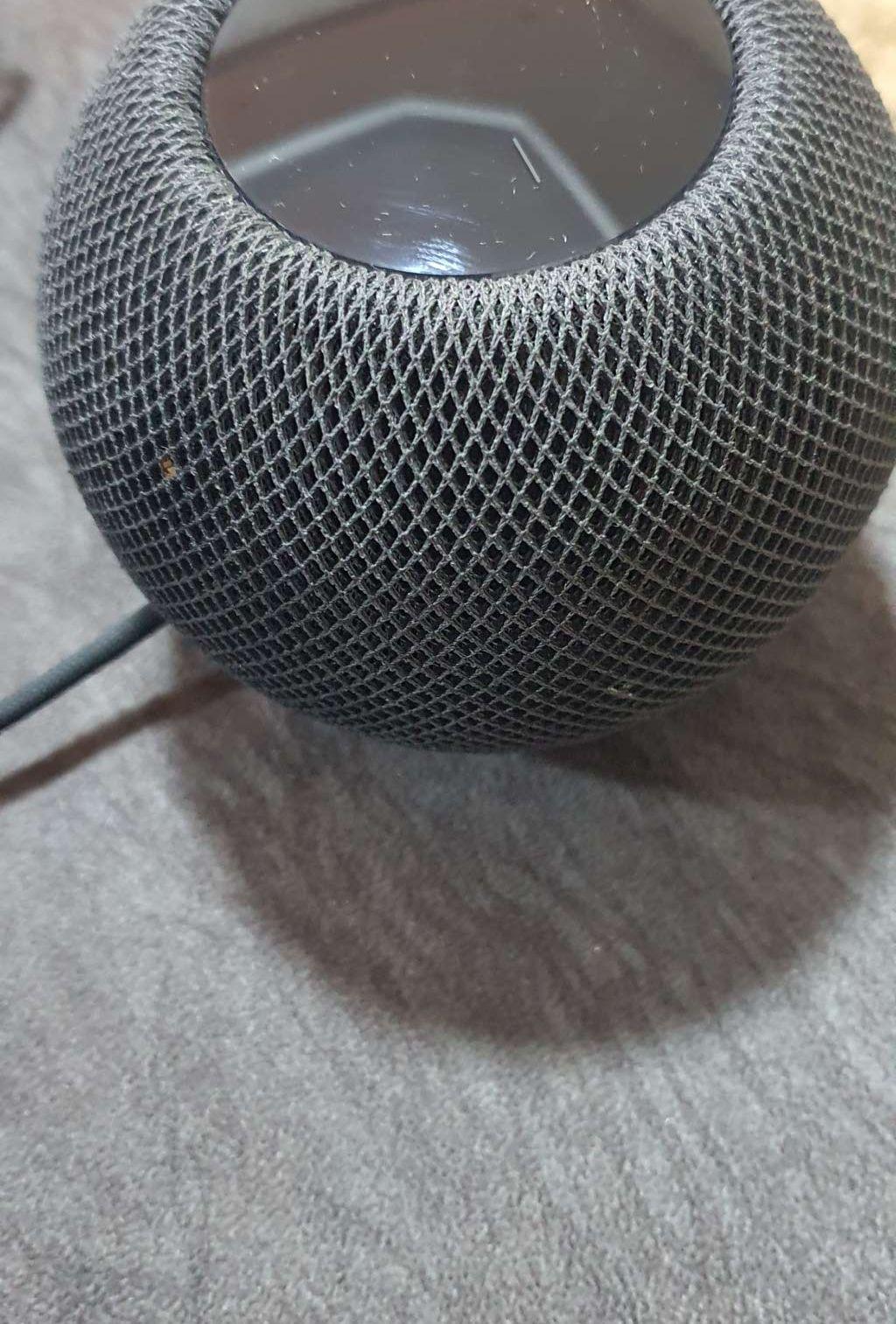 هوم بود ميني