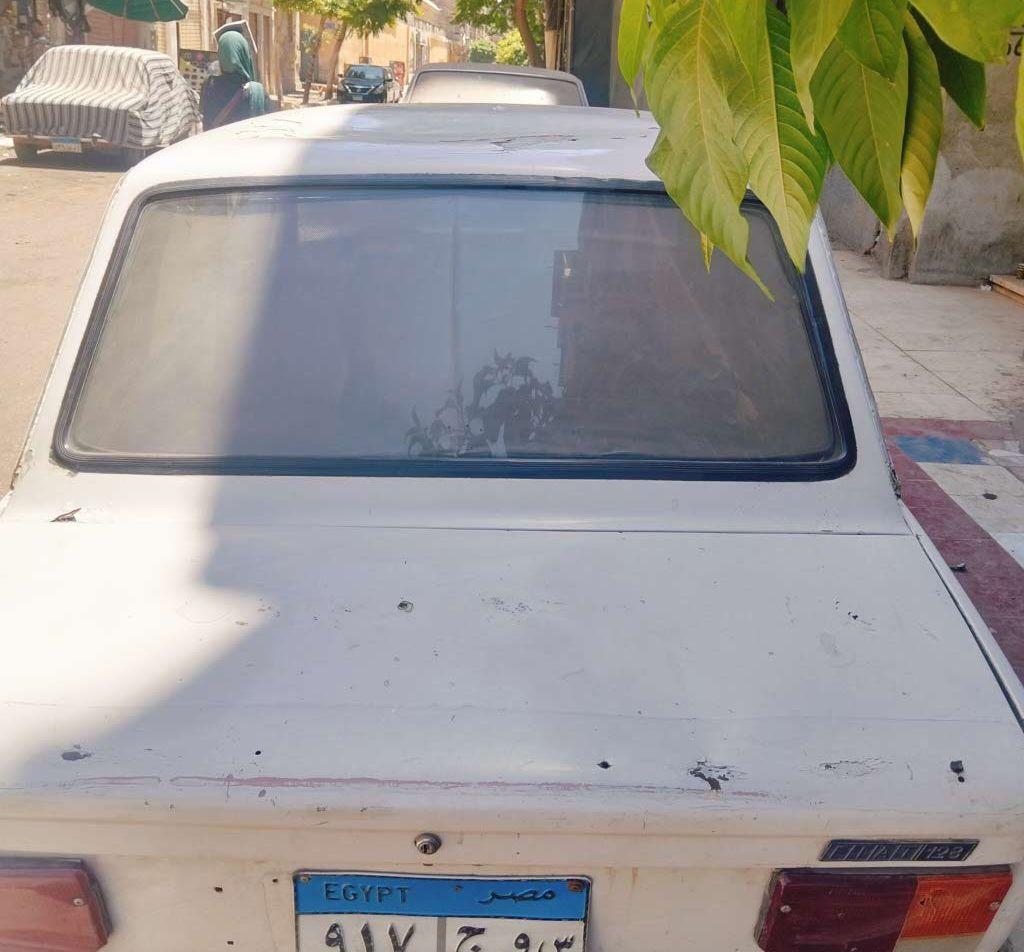 1981 فيات اخرى