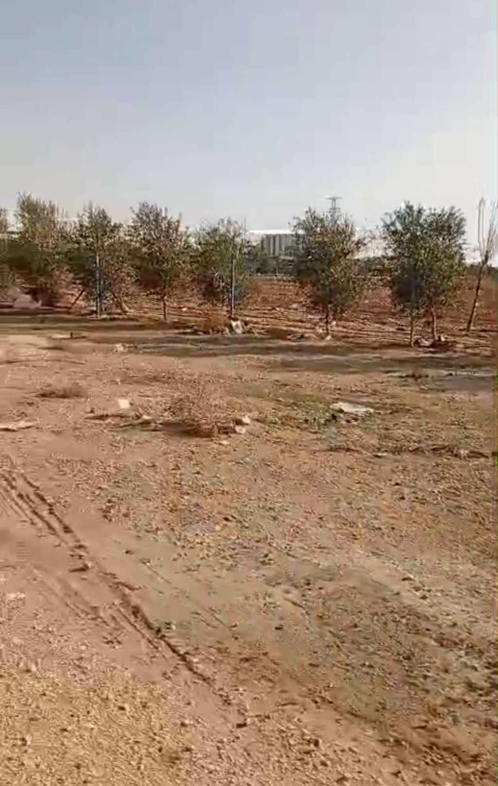 ارض للايجار في