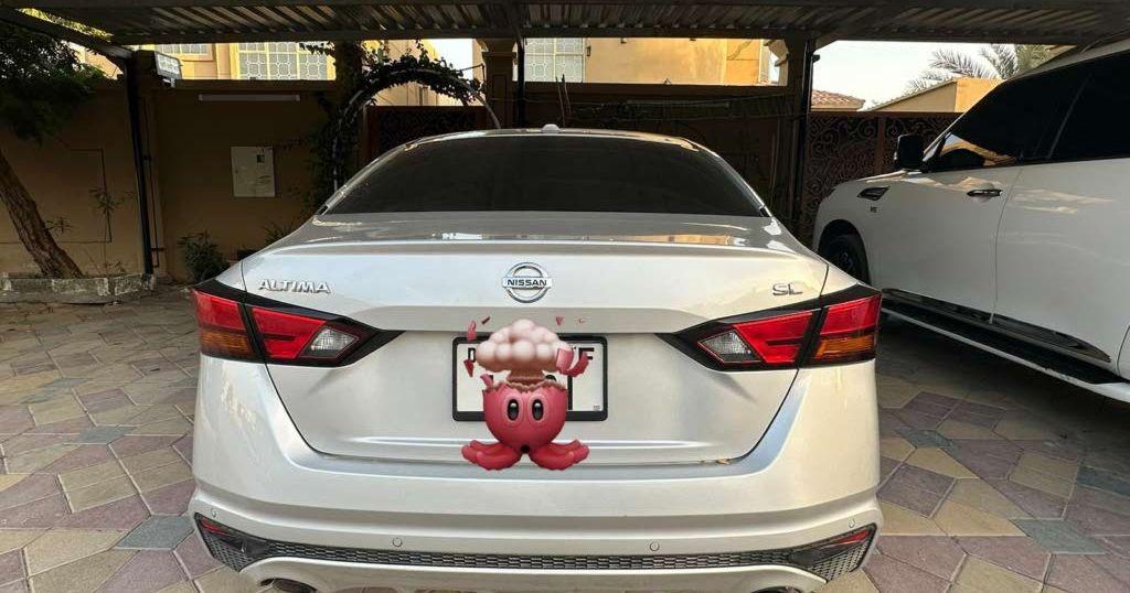 2019 نيسان التيما
