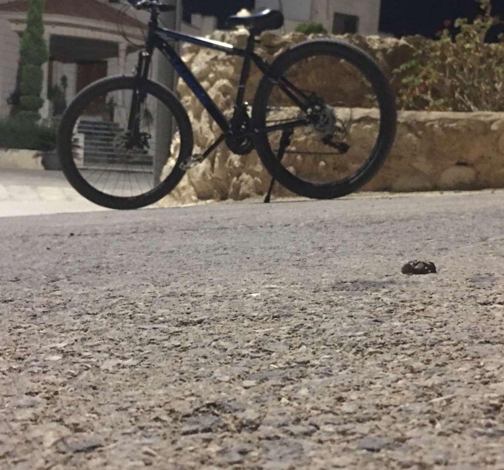 دراجه هوائيه للبيع