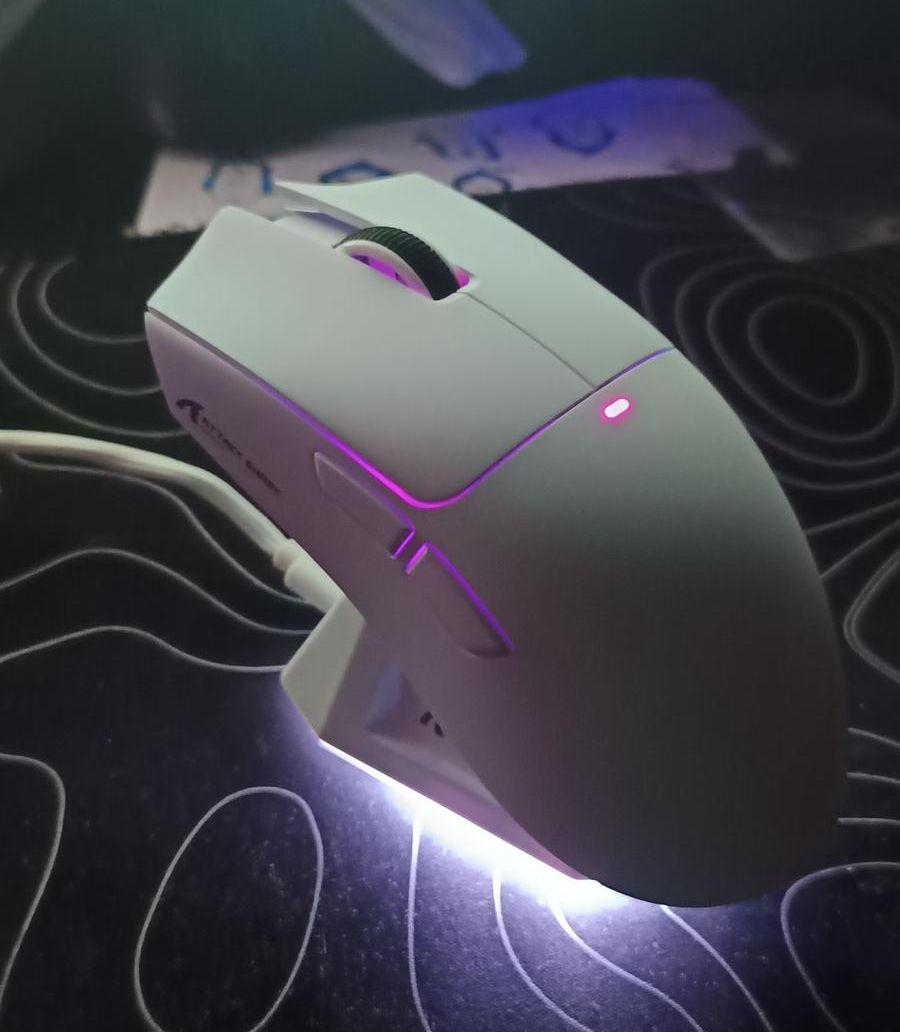 Mouse attack shark
