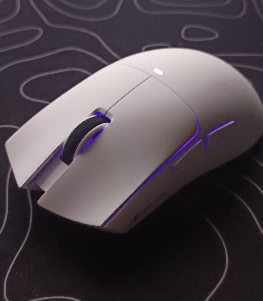 Mouse attack shark