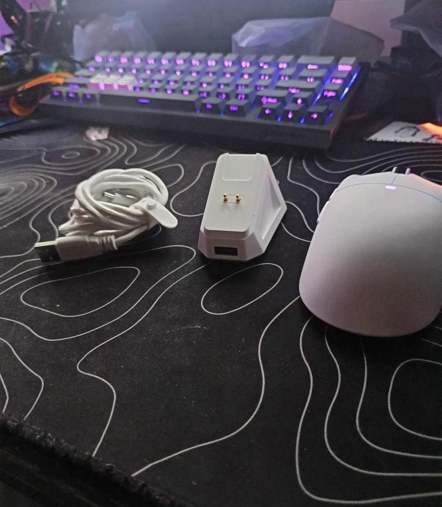 Mouse attack shark
