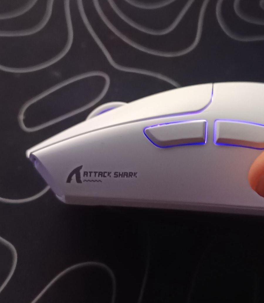 Mouse attack shark