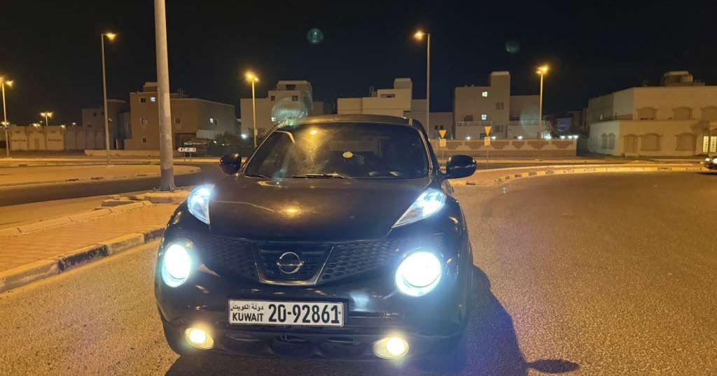 2013 نيسان جوك